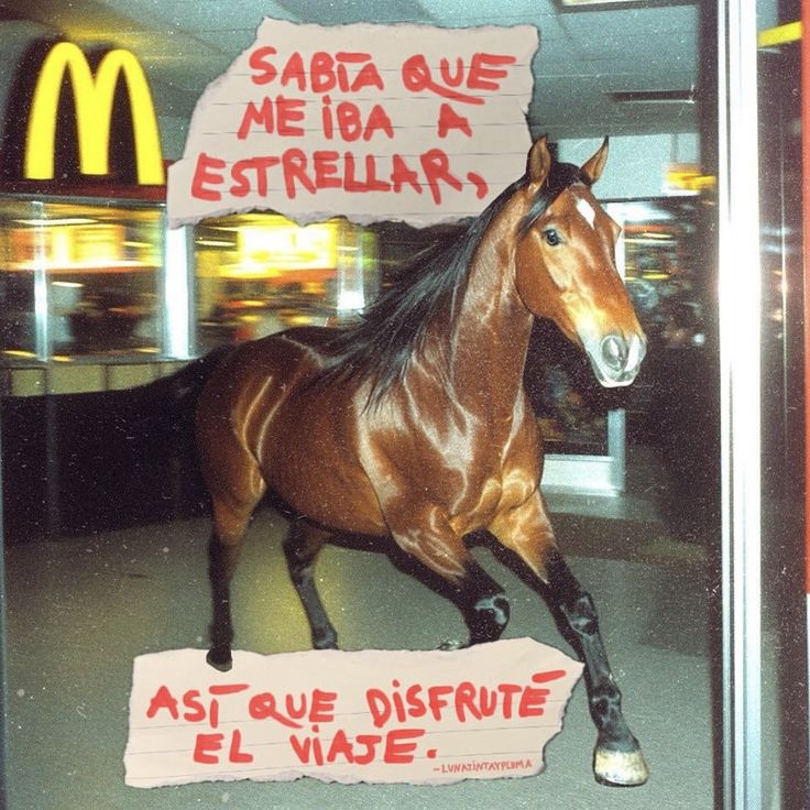 caballo